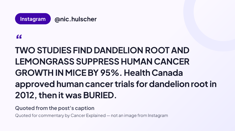 Quote card reading: "TWO STUDIES FIND DANDELION ROOT AND LEMONGRASS SUPPRESS HUMAN CANCER GROWTH IN MICE BY 95%. Health Canada approved human cancer trials for dandelion root in 2012, then it was BURIED." — @nic.hulscher